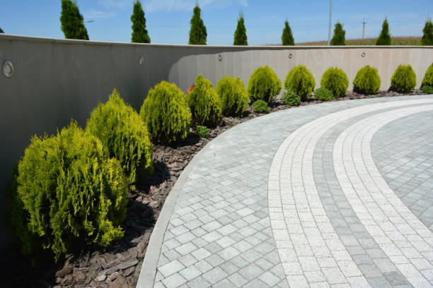 Best Driveway Pavers Near Me  in Coopertown, TN